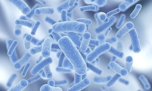 bacterias en el cuerpo humano