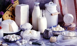 Leche y los productos lacteos fermentados
