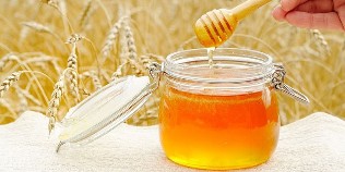 la miel a las lombrices